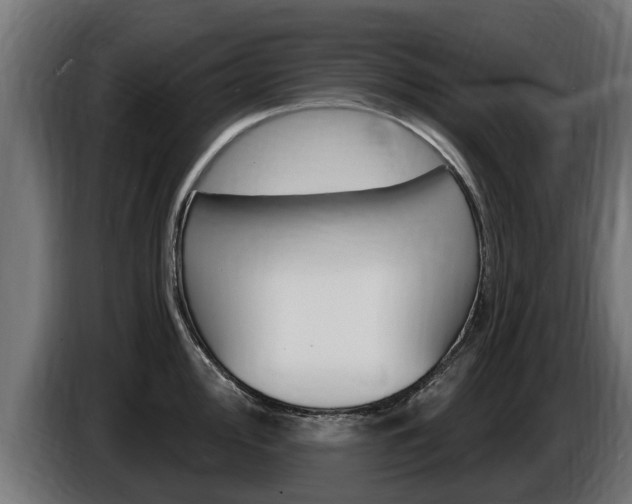 X0000086731000200704130743