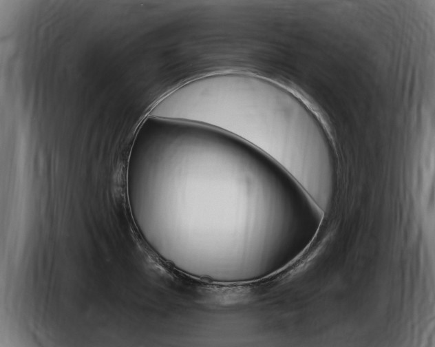 X0000086731001200704130743