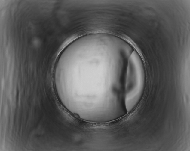 X0000086731002200704130743