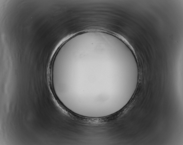 X0000086731003200704130743