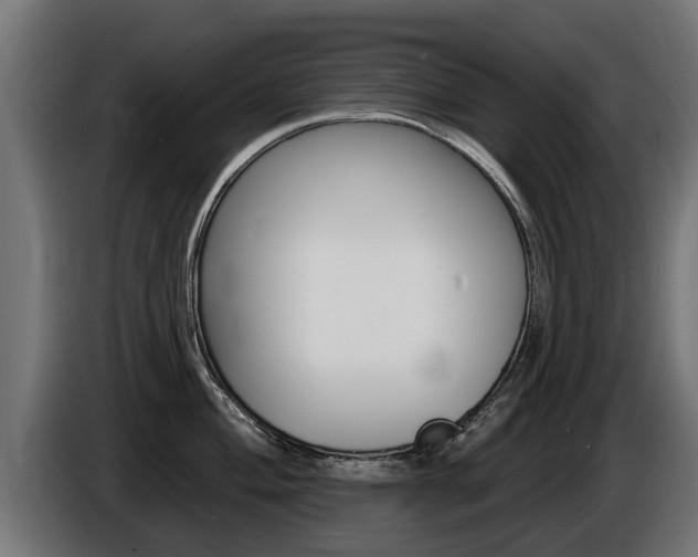 X0000086731004200704130743