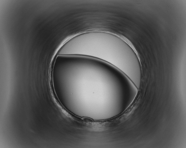 X0000086731005200704130743