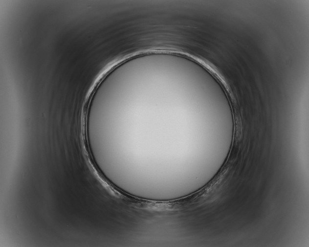 X0000086731006200704130743
