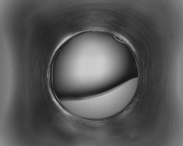 X0000086731007200704130743