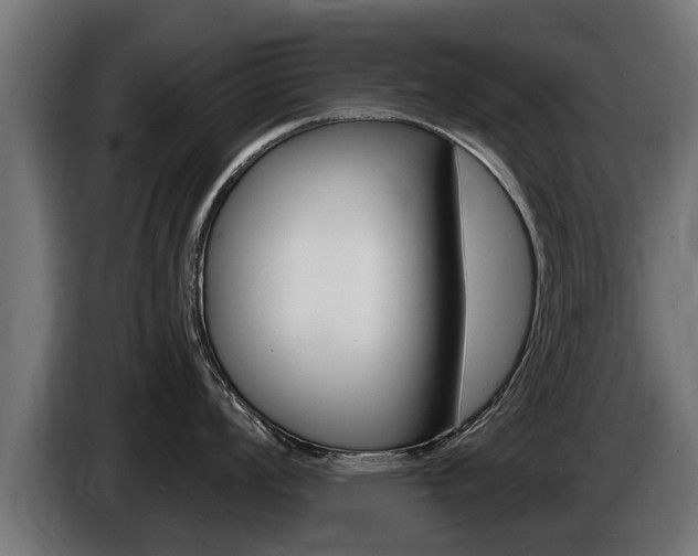 X0000086731008200704130743