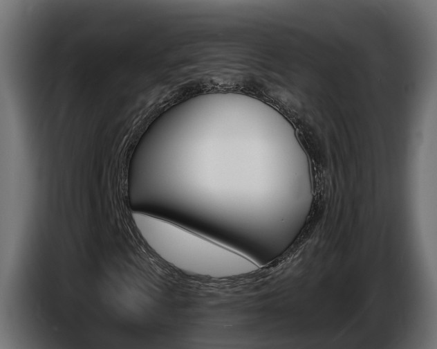X0000086731009200704130742
