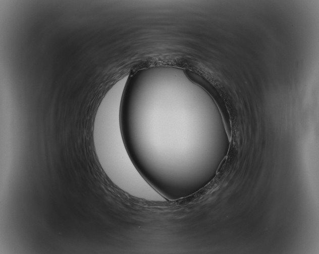 X0000086731010200704130742