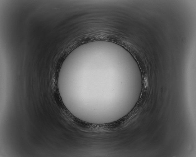 X0000086731011200704130742