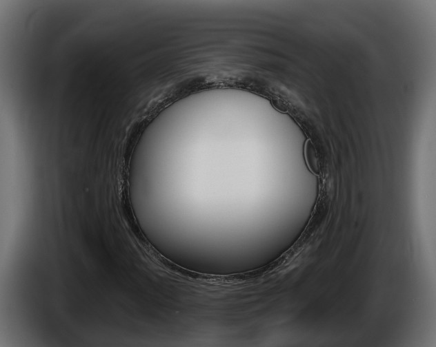 X0000086731012200704130742