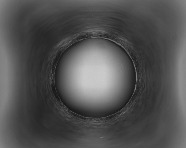 X0000086731014200704130742