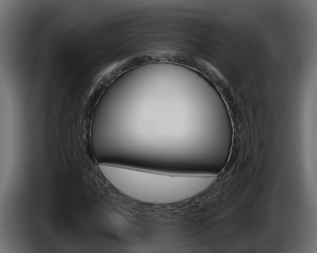 X0000086731016200704130742