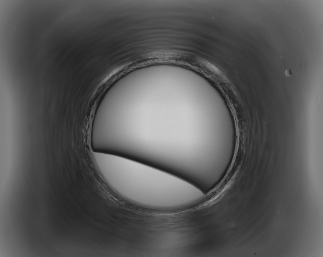 X0000086731017200704130742