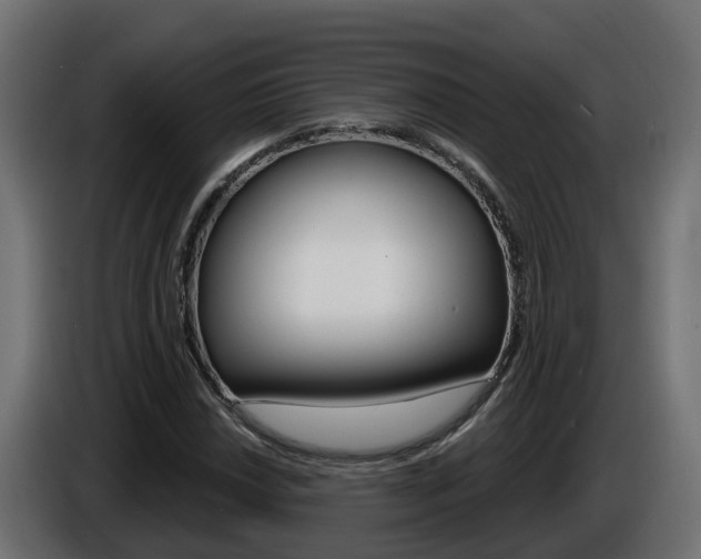 X0000086731018200704130742