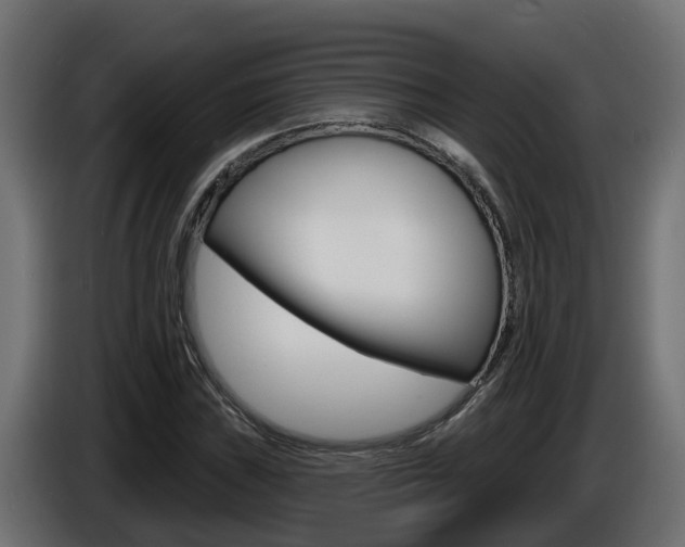 X0000086731019200704130742