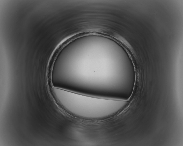 X0000086731020200704130742