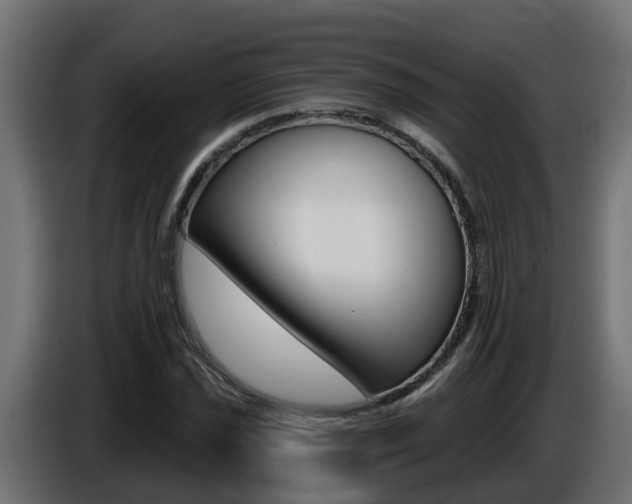 X0000086731021200704130742