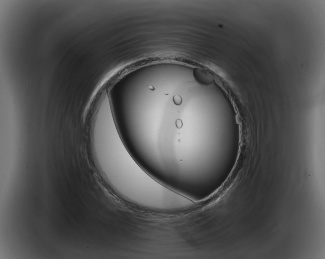 X0000086731022200704130742