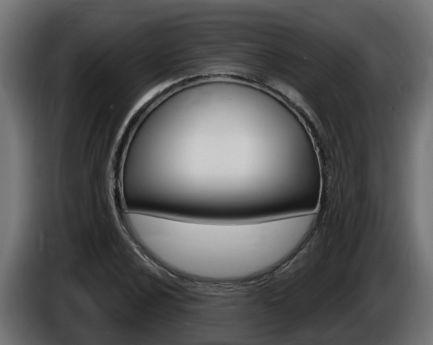X0000086731024200704130742