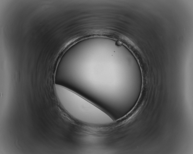X0000086731025200704130742