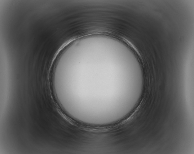 X0000086731026200704130742