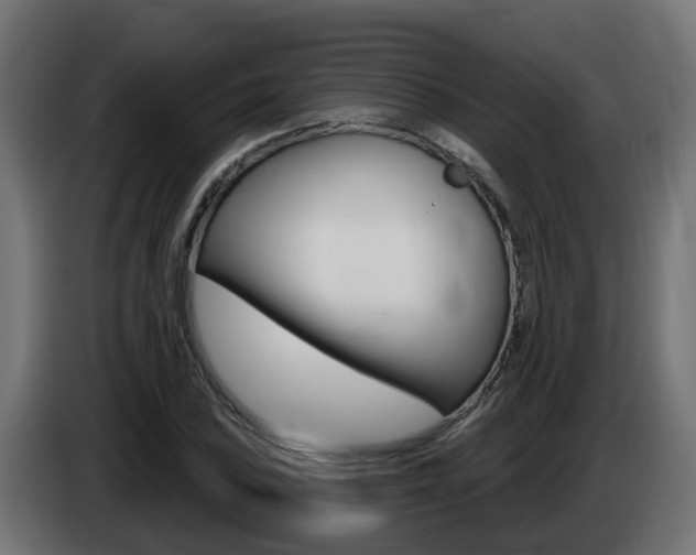 X0000086731027200704130742