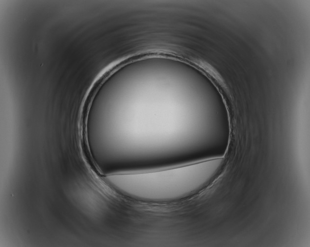 X0000086731028200704130742
