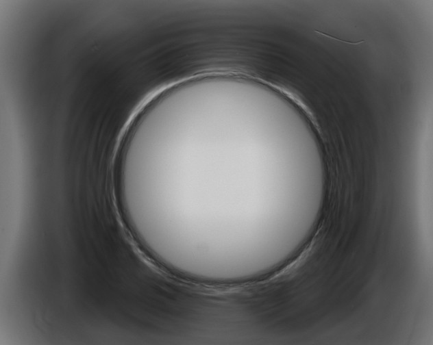 X0000086731030200704130742
