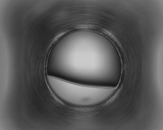 X0000086731033200704130743