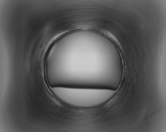X0000086731035200704130743