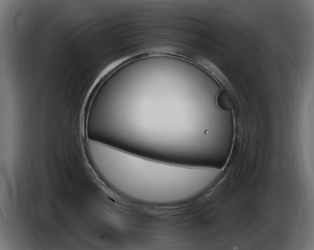 X0000086731036200704130743