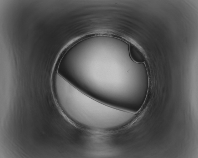X0000086731037200704130743