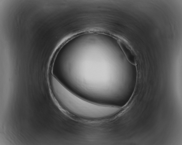 X0000086731038200704130743