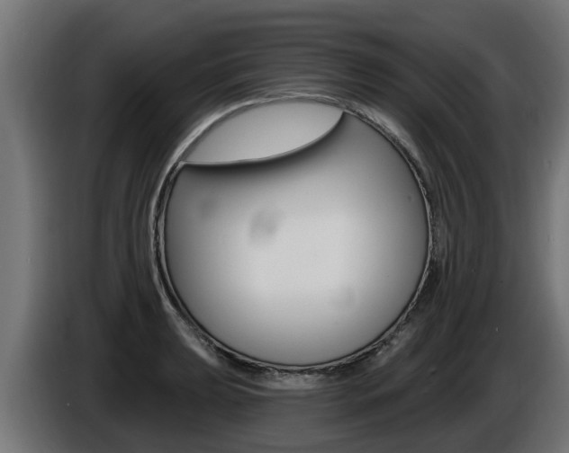 X0000086731039200704130743
