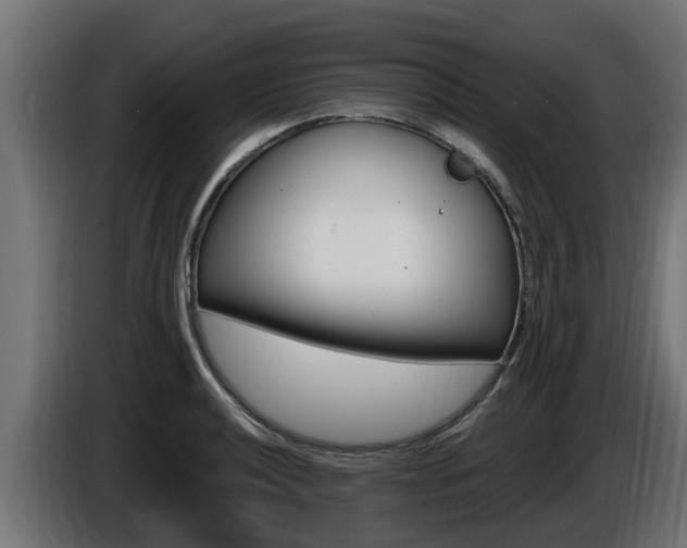 X0000086731040200704130743