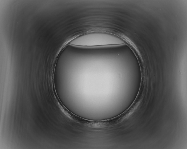 X0000086731041200704130743