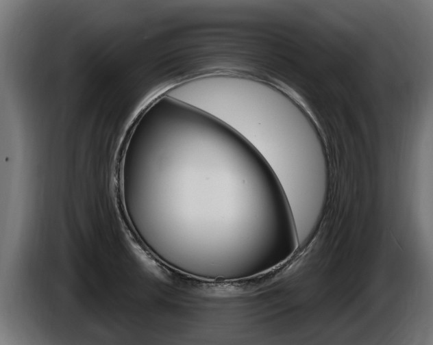 X0000086731042200704130743