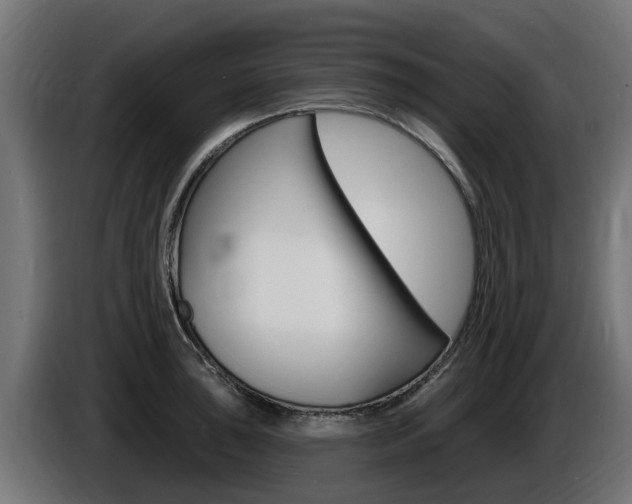 X0000086731043200704130743