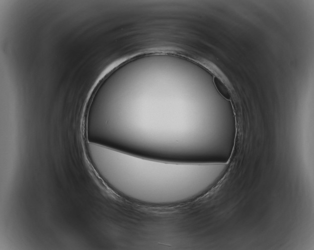 X0000086731044200704130743