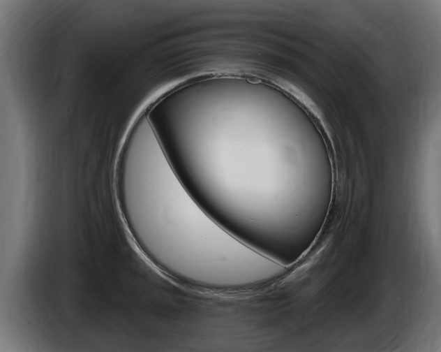 X0000086731045200704130743