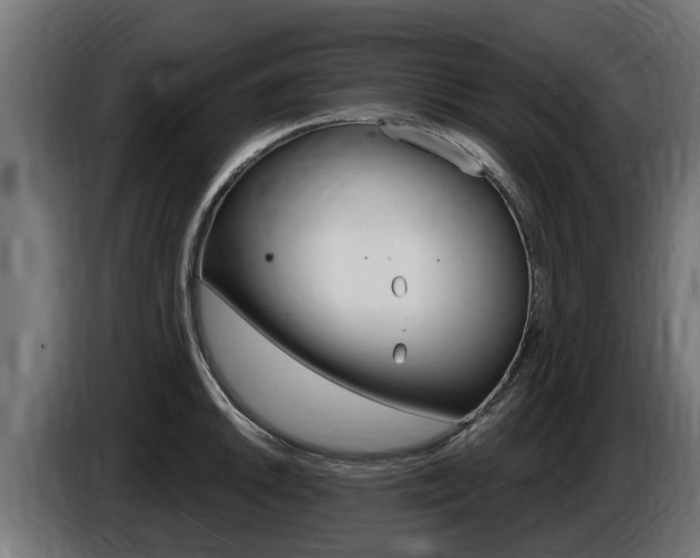 X0000086731046200704130743