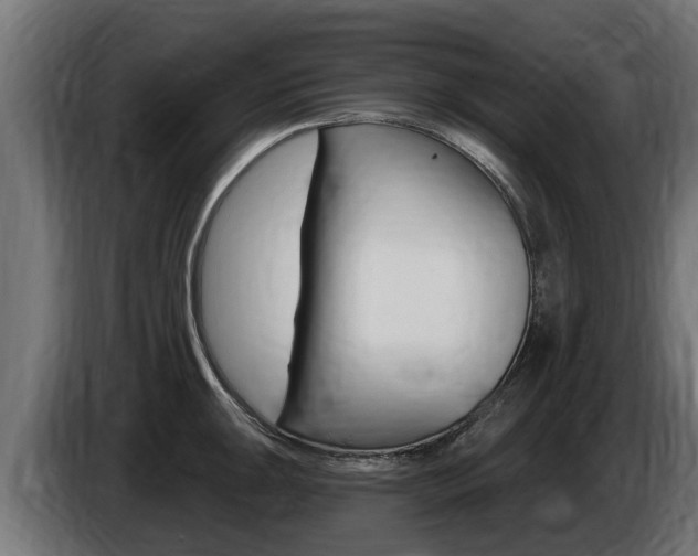 X0000086731047200704130743