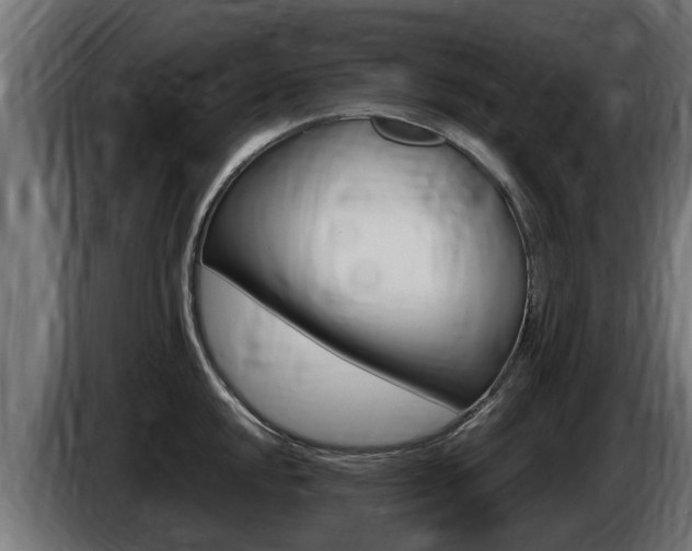 X0000086731048200704130743