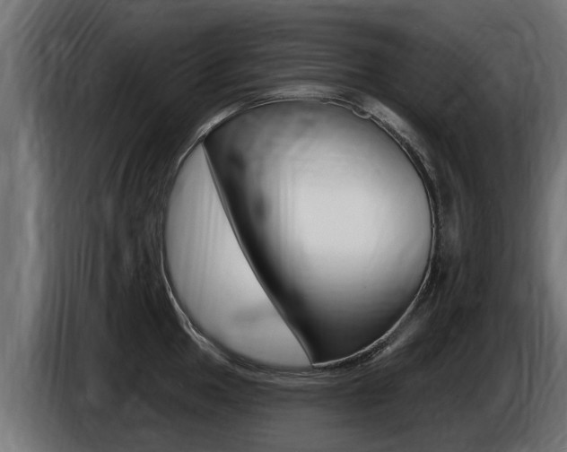 X0000086731049200704130743