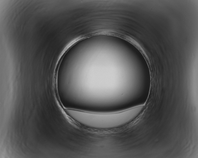 X0000086731050200704130743