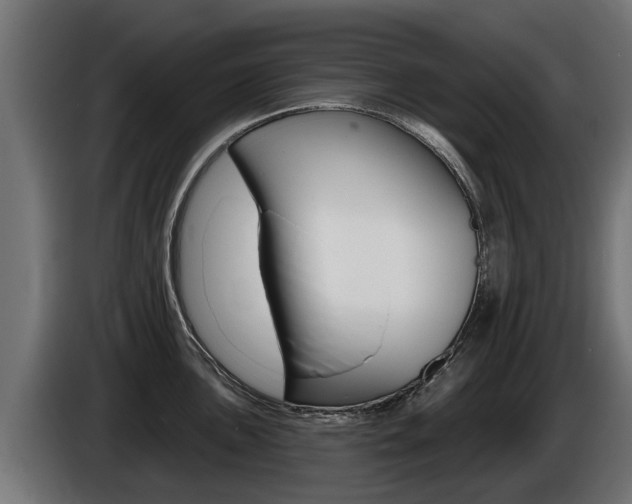 X0000086731051200704130743