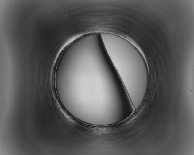X0000086731053200704130743