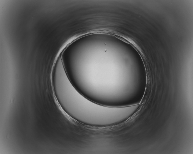 X0000086731054200704130743