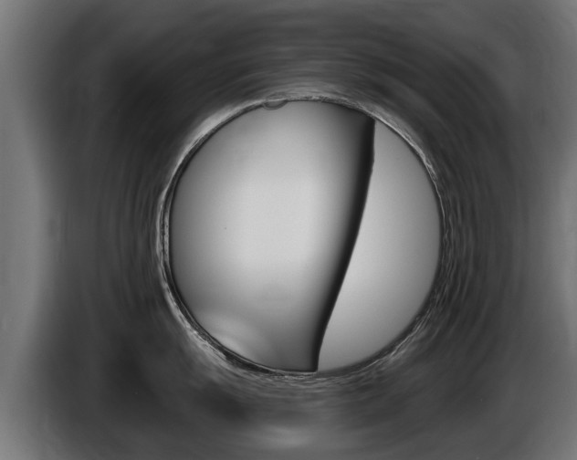X0000086731055200704130743