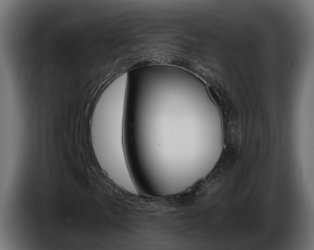 X0000086731057200704130742