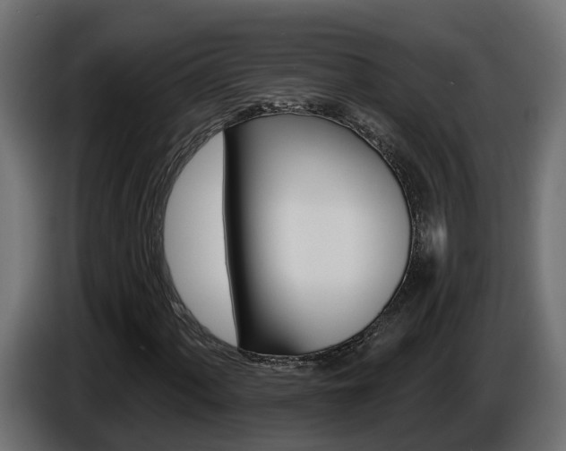 X0000086731060200704130742